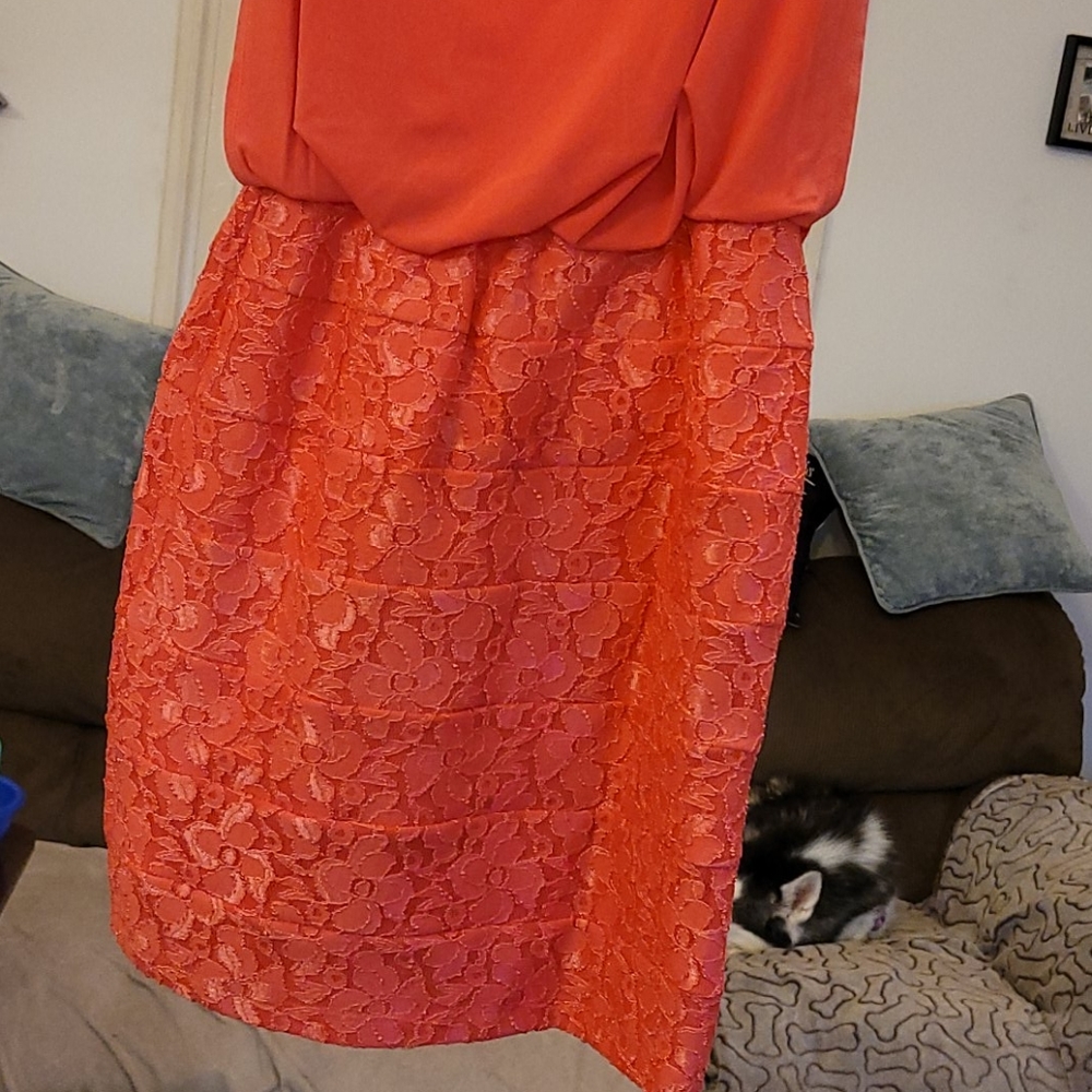 Dress - Picture 2 of 6